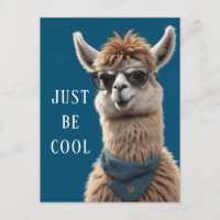 Solo sé Guay Smile Llama Funky Alpaca Sungafas