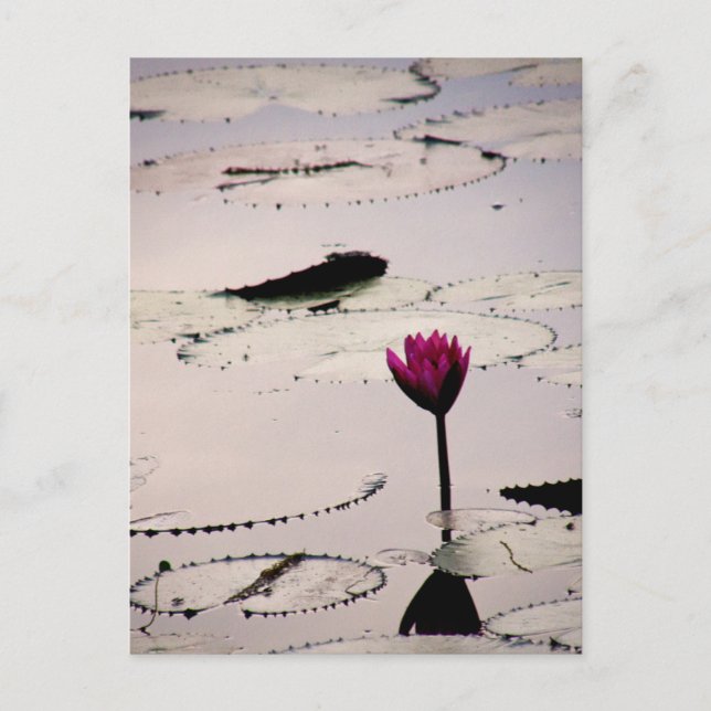 Postal Solo-tus | Camboya (Anverso)