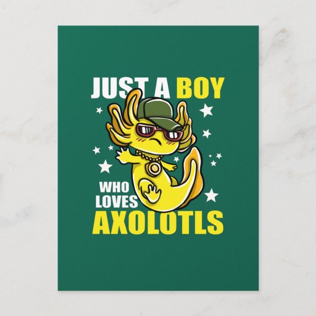 Postal Solo un chico que ama los ajolotes Divertido Graci (Anverso)