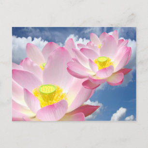 Postal Sólo un Lotus Blossom + tu texto e ideas