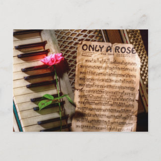 Postal Sólo un Rosa II