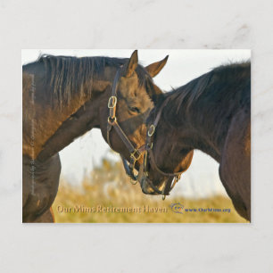 Postal Sólo un toque