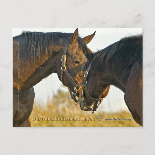 Postal Sólo un toque (Anverso)