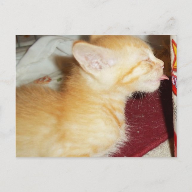 POSTAL SÓLO UNA LICENCIA (Anverso)