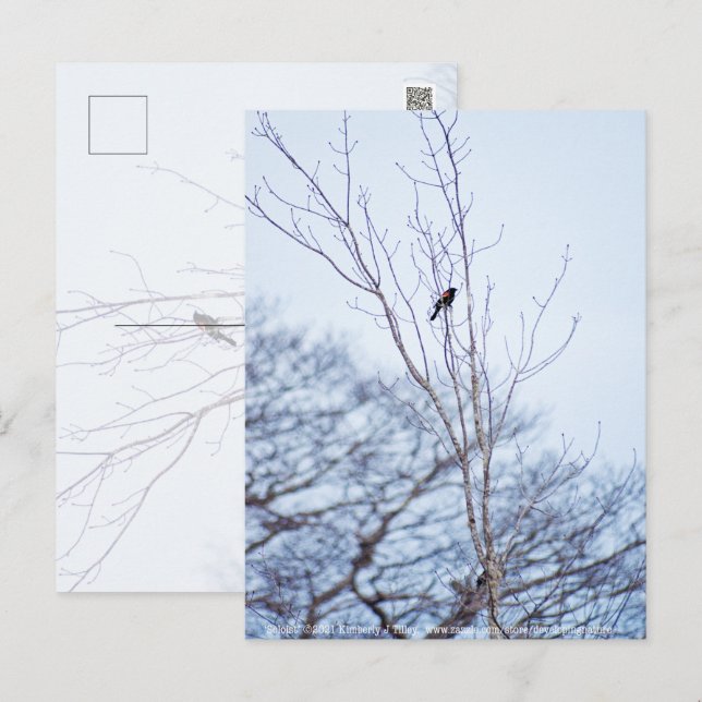 Postal Soloista (Anverso / Reverso)