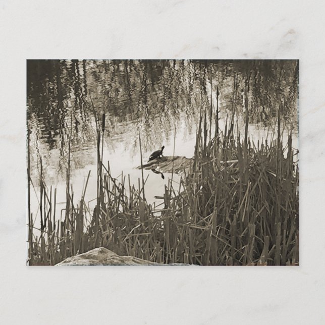 Postal Solsticio de invierno (Anverso)