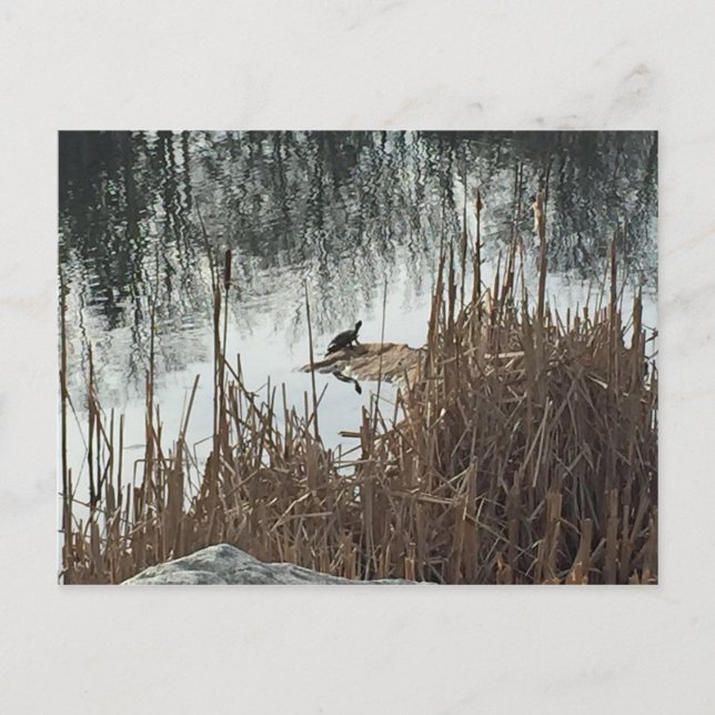 Postal Solsticio de invierno (Anverso)