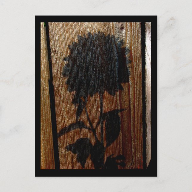 Postal sombra (Anverso)