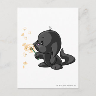 Postal Sombra de Kacheek