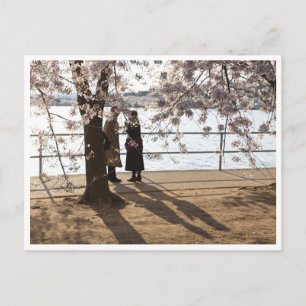 postal "Sombras bajo el cerezo"
