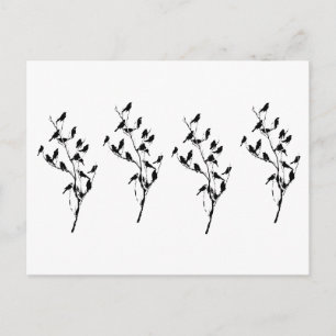 Postal Sombras de Grackle