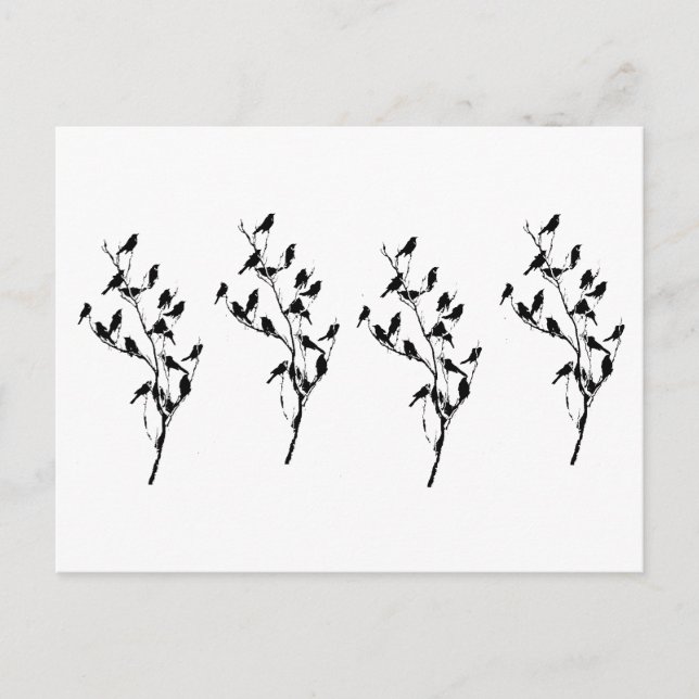 Postal Sombras de Grackle (Anverso)