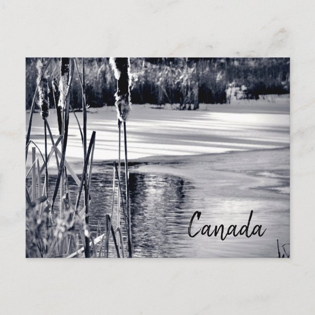 Postal Sombras de nieve en invierno Recuerdos de Canadá b (Anverso)