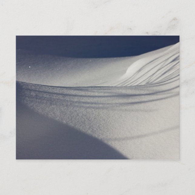 Postal Sombras de nieve intacta CC0098 Postcard (Anverso)