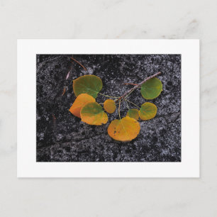 Postal "Sombras De Otoño"