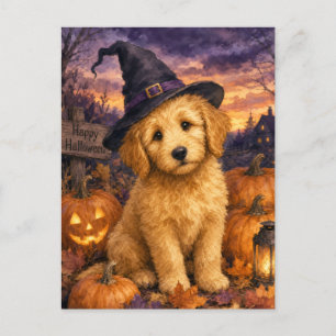 Postal Sombrero de Bruja de Calabaza Goldendoodle