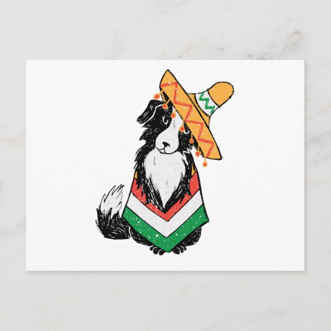 Postal Sombrero De Perro Mexicano Y Poncho Cinco De Mayo (Anverso)