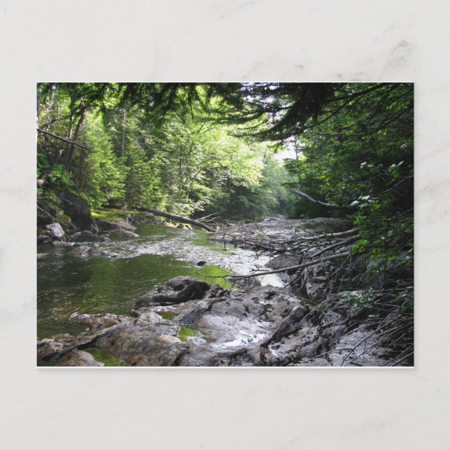 Postal Somerset, Vt. (Anverso)