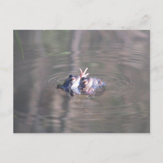 Postal Somos 3 en esta relación