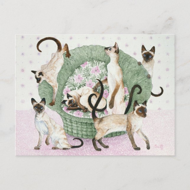 Postal Somos siameses si por favor (Anverso)