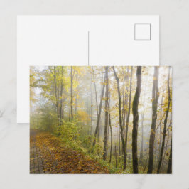 Postal Soñador parque de otoño