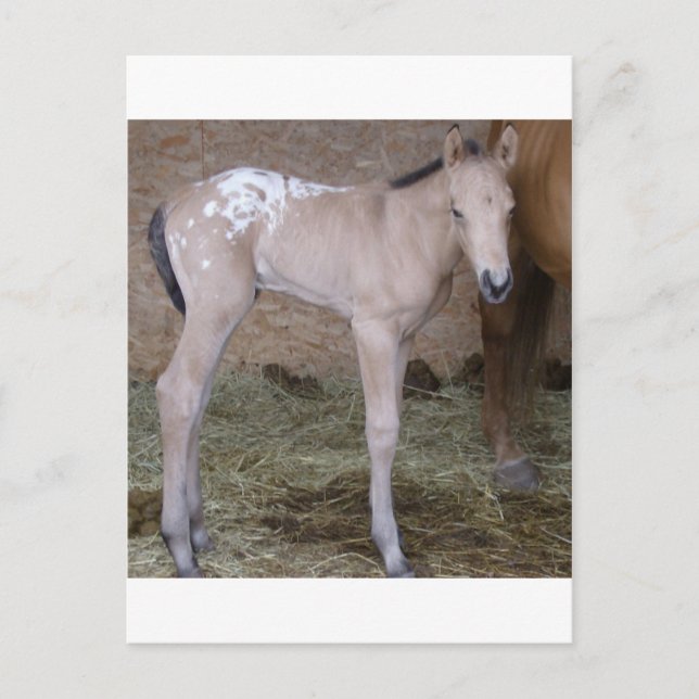 Postal sonambulismo (Anverso)