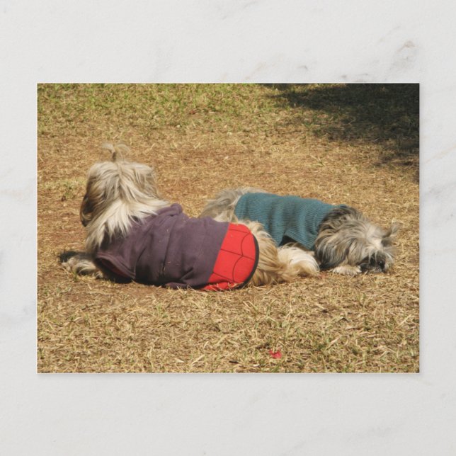 Postal Sonambulismo en Nong Khai (Anverso)