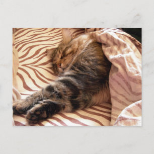 Postal Soñando con el veldt