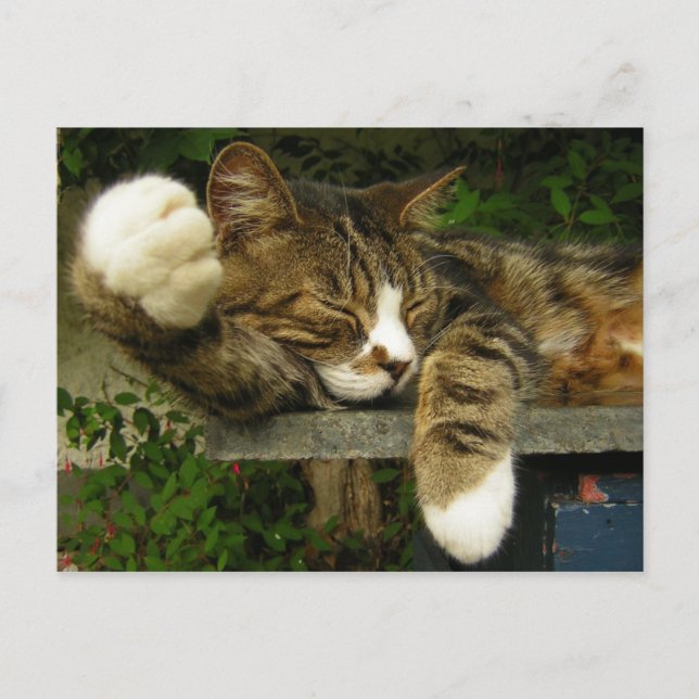 Postal Soñando con ser interesante (Anverso)