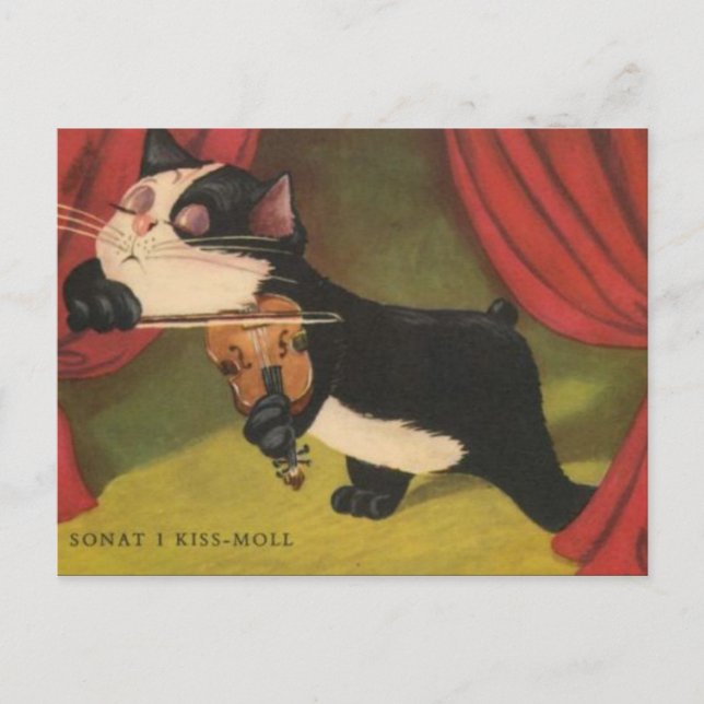 Postal Sonet De Juego De Gatos En Violín De 1909 PC (Anverso)