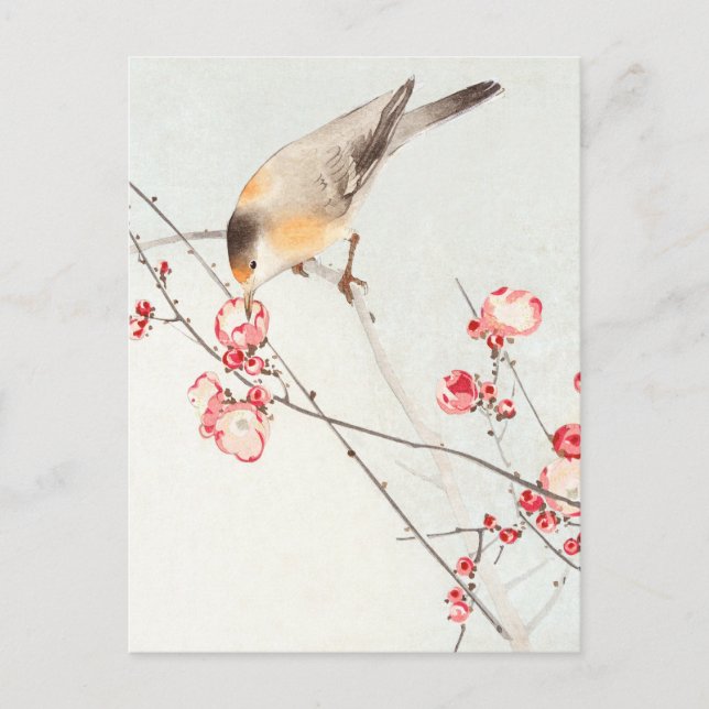 Postal Songbird en rama de flor - Ohara Koson - ampliado (Anverso)