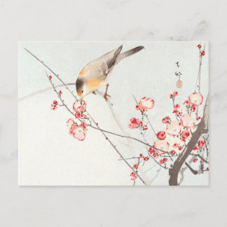 Postal Songbird en rama de flor - Ohara Koson - Arte