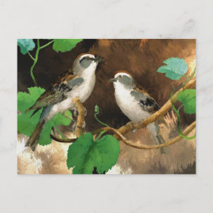 Postal Songbirds blanco