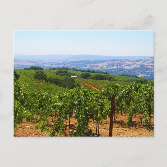 Postal Sonoma (Anverso)