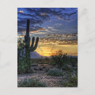 Postal Sonoran Sunrise