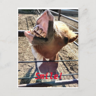 Postal ¡¡Sonríe!!