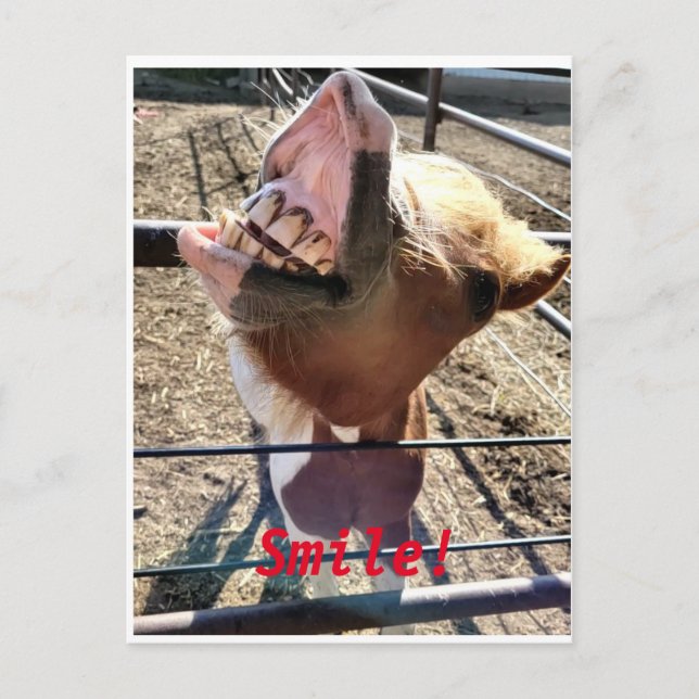 Postal ¡¡Sonríe!! (Anverso)