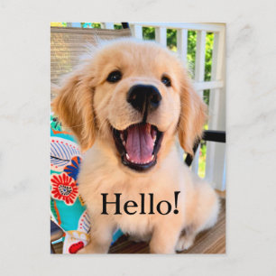 Postal Sonriente Golden Retriever Puppy Dog Hello