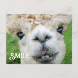 Postal Sonriente sonrisa Alpaca Llama Funny Farm Animal S