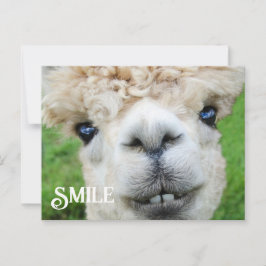 Postal Sonriente sonrisa Alpaca Llama Funny Farm Animal S
