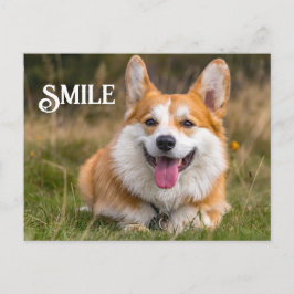 Postal Sonriente sonrisa Corgi Dog Graciosa Sonrisa anima