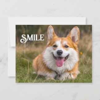 Postal Sonriente sonrisa Corgi Dog Graciosa Sonrisa anima