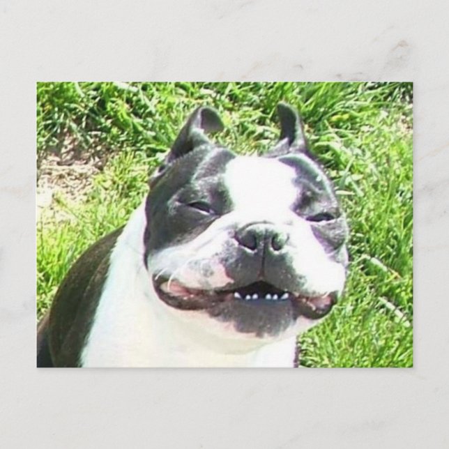 Postal Sonrisa (Anverso)