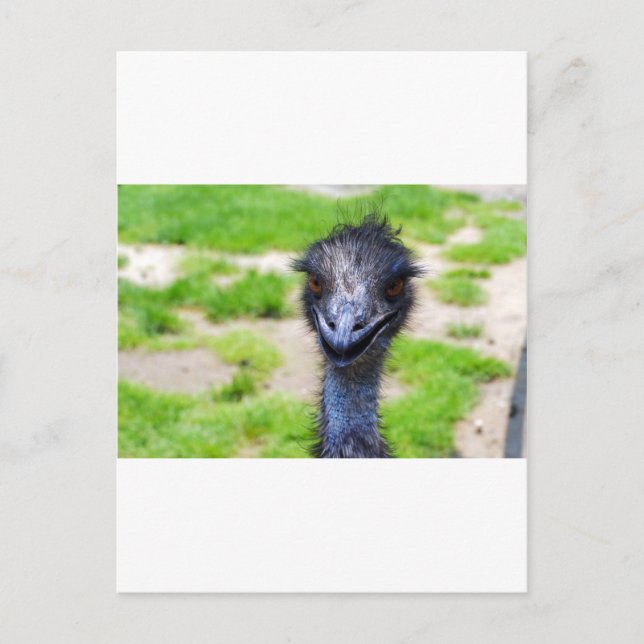 Postal Sonrisa (Anverso)