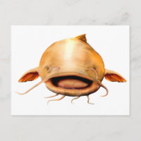 Sonrisa de pesca