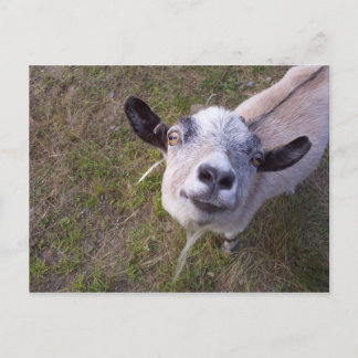 Postal Sonrisa Para La Cámara