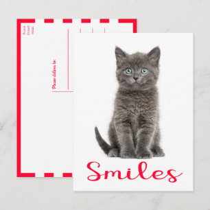 Postal Sonrisas de gatito adorable, hola, te extraño aman