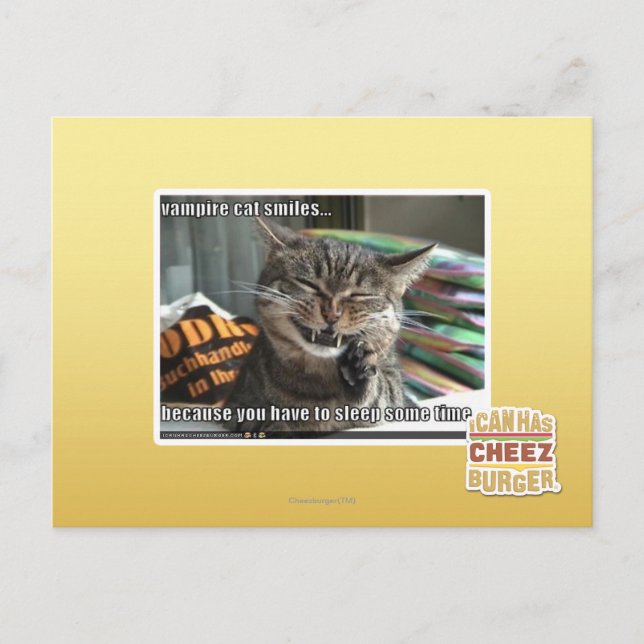 Postal sonrisas de gato vampiro (Anverso)