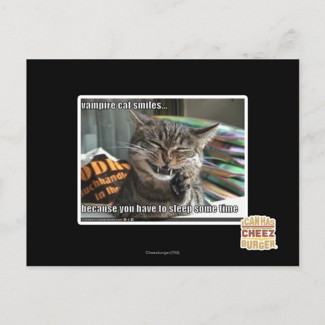 Postal sonrisas de gato vampiro (Anverso)