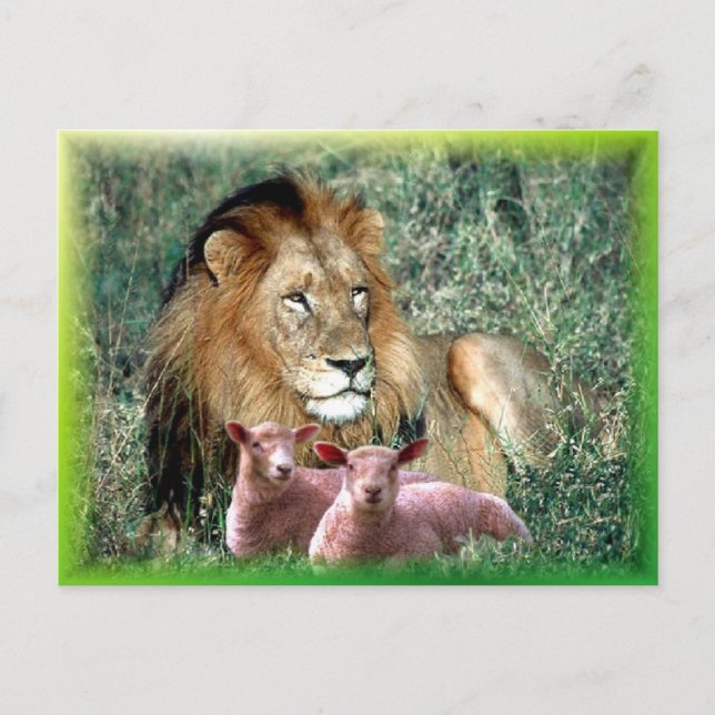 Postal Soothes the Soul - (Anverso)